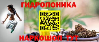a pvp Гагарин