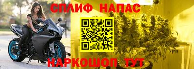 дурь Гай