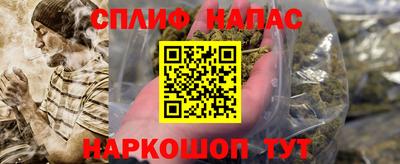 a pvp Гагарин