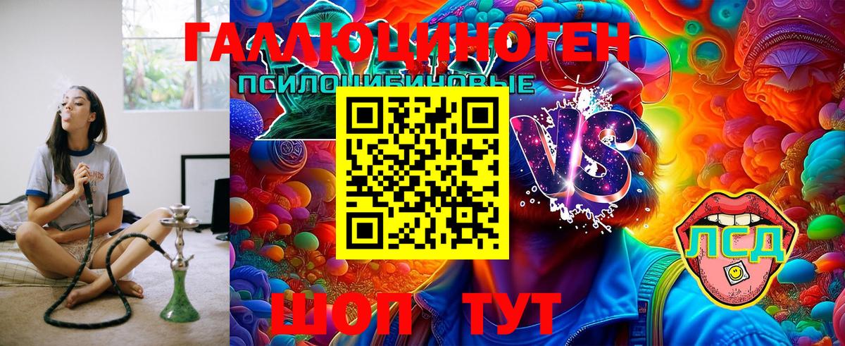 цена   Вход с VPN  Можга  Псилоцибиновые грибы GOLDEN TEACHER 